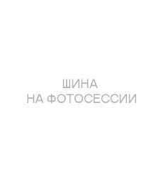 Шины Tunga 185/65 r14 Nordway 3 86Q Шипы